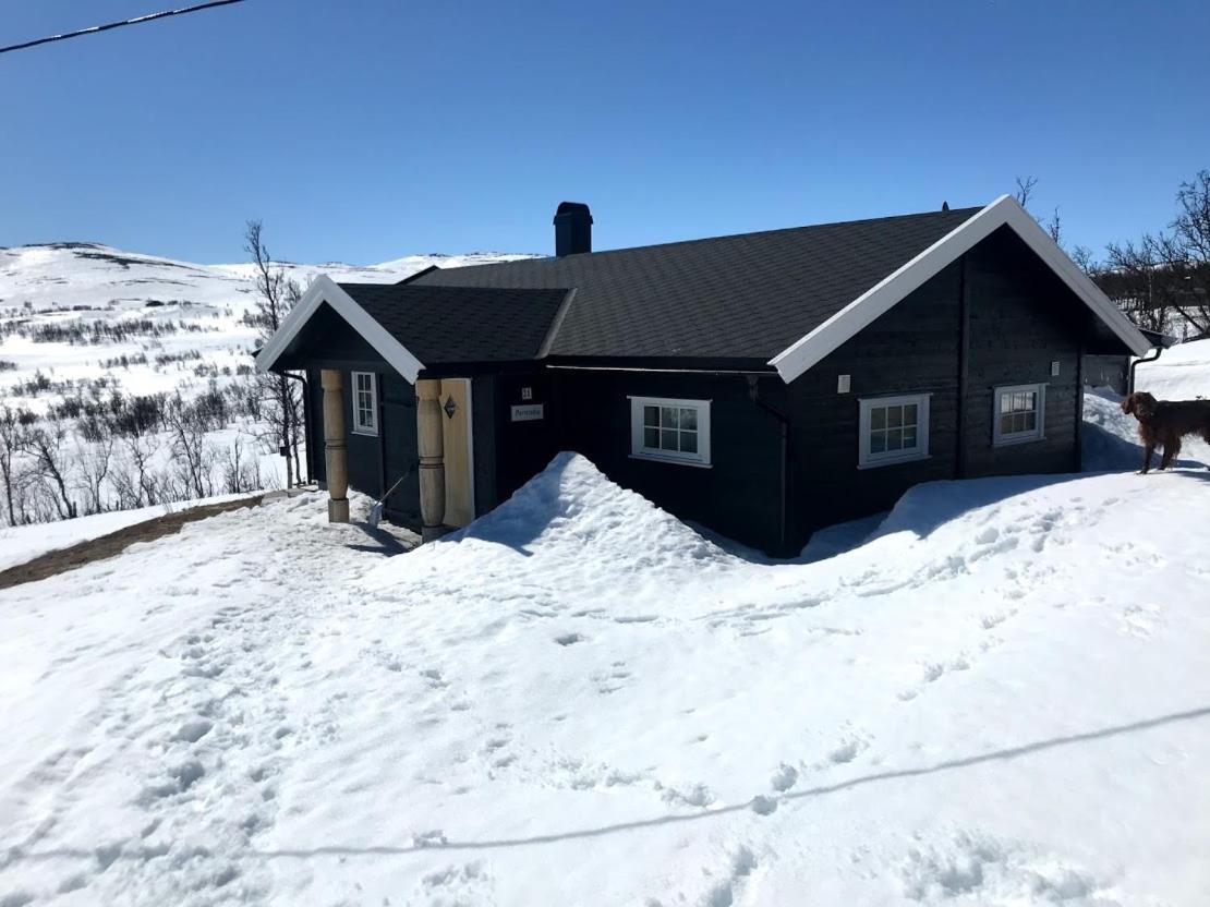 Vila Berntebu Uvdal Exteriér fotografie
